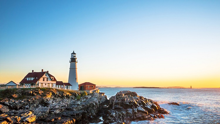 7 curiosities you do not know about New England6