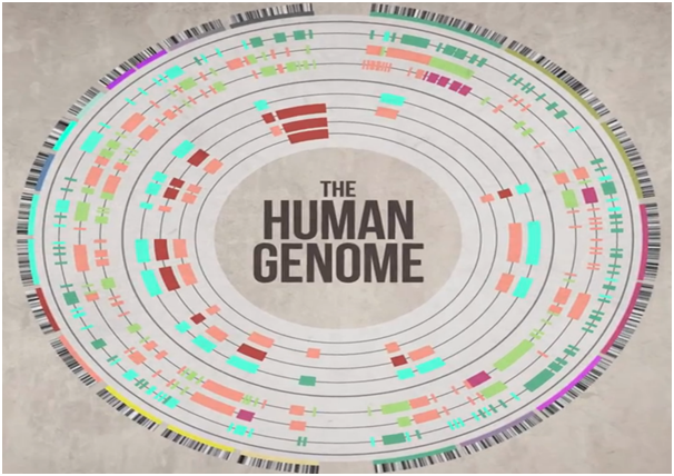 What the future of healthcare might look like