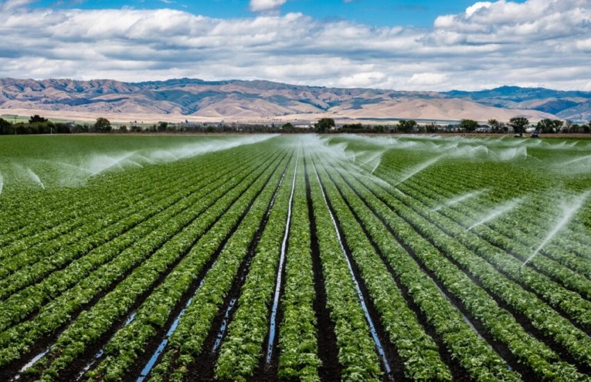 What is the theory of irrigation efficiency